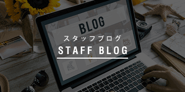 STAFF BLOG staff blog