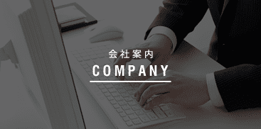 COMPANY company profile